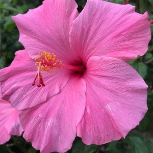 Meet your Posher, Kat